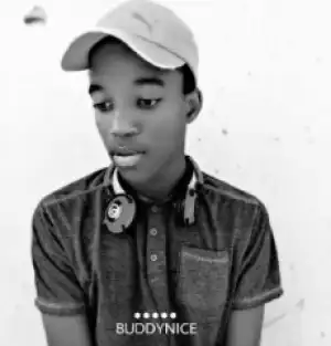 Buddynice - Danger Zone (Redemial Mix)